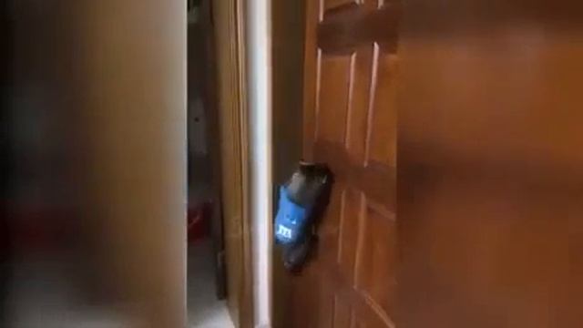 ПРИКОЛ! ОТКРОЙ ДВЕРЬ! смотреть онлайн