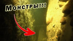 ИХ НУЖНО ОТКАПЫВАТЬ ПОД ВОДОЙ!!! СЕКРЕТЫ ПОДВОДНОЙ ОХОТЫ!!!