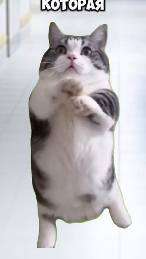 #рекомендации #subscribe #подпишись