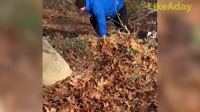 Осенние НЕУДАЧИ Самые смешные неудачи недели 2022 смотреть онлайн