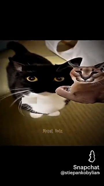 Эдит не мой~ смотреть онлайн