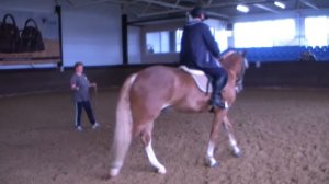 Подъем в галоп с шага.