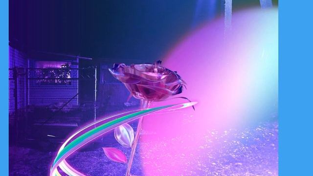 P}{D «Dima Dark- Forest» AUDIO DARK FOREST («ВИДЕО ДЛЯ ПРОСЛУШИВАНИЕ ТРЕКА»)