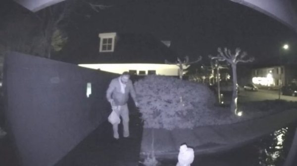 BRAIN TIME. Night Shenanigans They Thought No One Would See 👀🌙