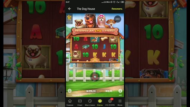 Betera! The Dog House 3 подряд без выхлопа(