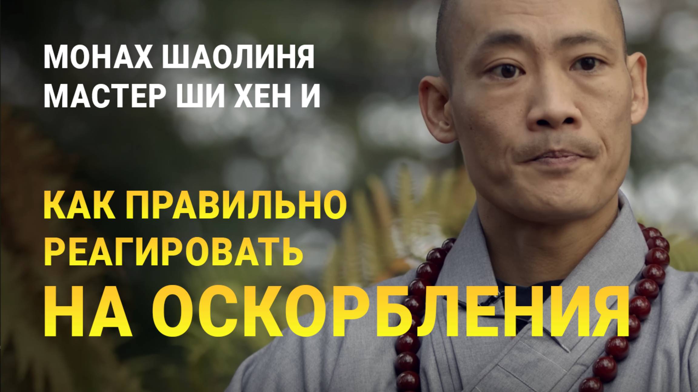 Мудрость Шаолиня: Как реагировать, когда вас оскорбляют? | Мастер Ши Хен И смотреть онлайн