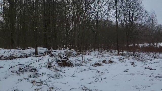 Урочище Холмино | Калужская область, Жиздринский райо?