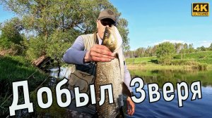 Спиннинг на малой реке. Рыбалка на голавля и жереха