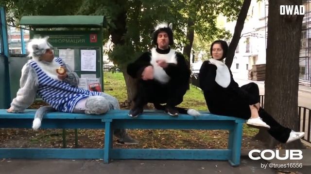 Coubik #9 🔥Gifs with sound🔥 Аниме приколы 🔥 смотреть онлайн