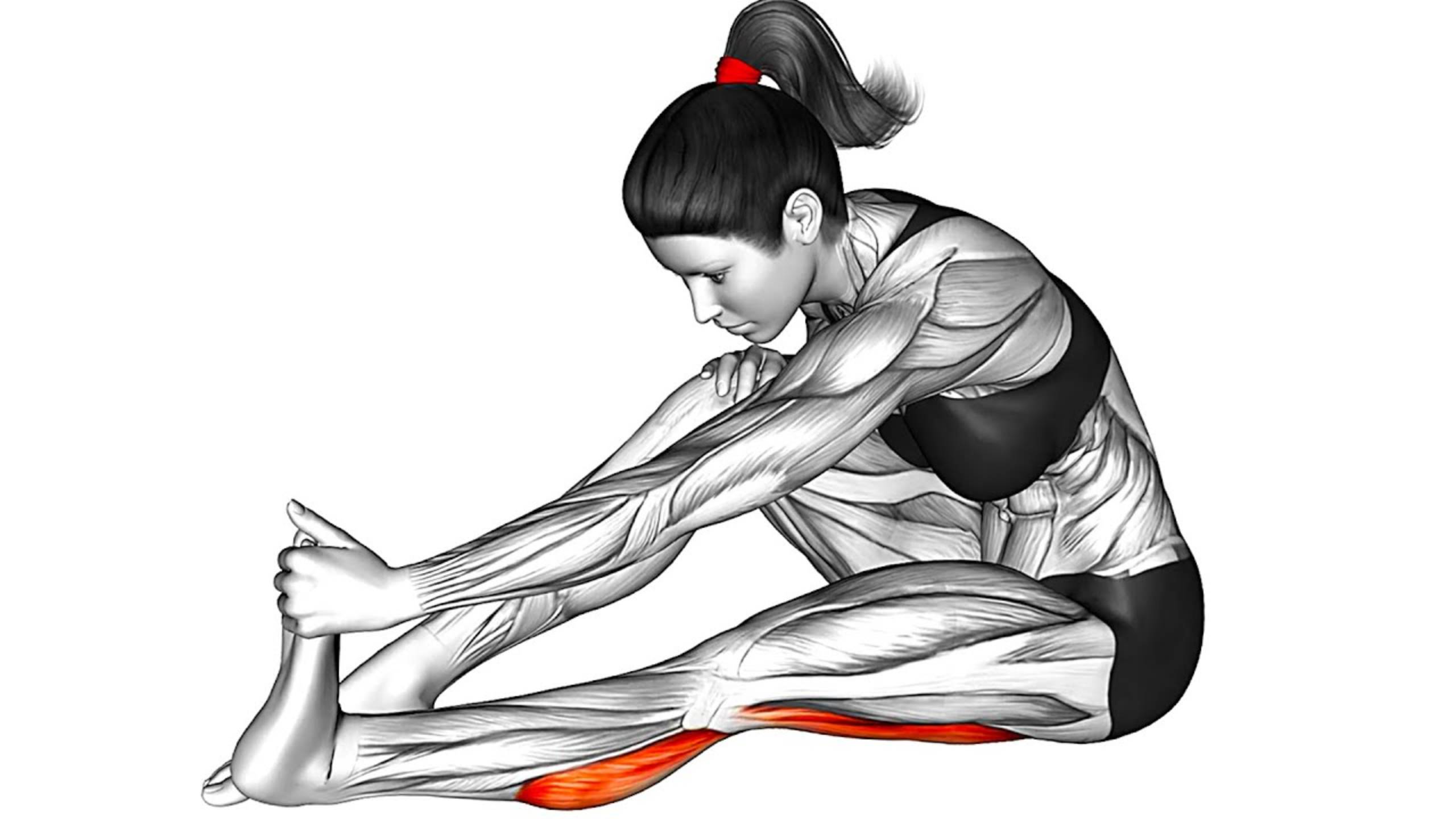 14 простых утренних Упражнений смотреть онлайн