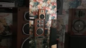 усилитель мощности Кумир у-001 и радиотехника s 30b