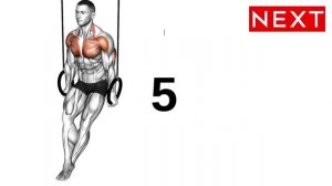 Упражнения на Гимнастических Кольцах