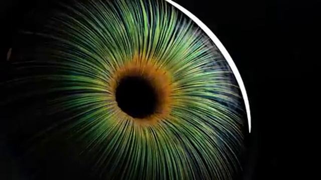 25-05-2025  И слепой станет зрячим. Матрица Гаряева.