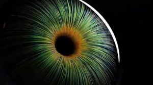 25-05-2025  И слепой станет зрячим. Матрица Гаряева.