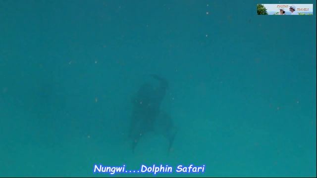 Zanzibar-Tanzania. Отдых в сезон 2025. Что произошло на морском с? смотреть онлайн