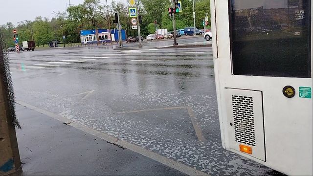 23 мая 2025 г. Автобус 326 маршрут МАЗ-203 8314 Дунайский Проспект Угол Софийской Улицы смотреть онлайн