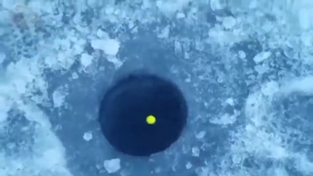 Смешная и прикольная рыбалка смотреть онлайн