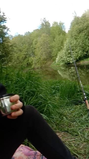 РЫБАЛКА МЫ СНОВА НА НОЛЬКЕ! РЕКА МАЛАЯ КОКШАГА! 17.05.2025 ГОДА! ЧАСТЬ-5 #fishing #рыбалка смотреть онлайн