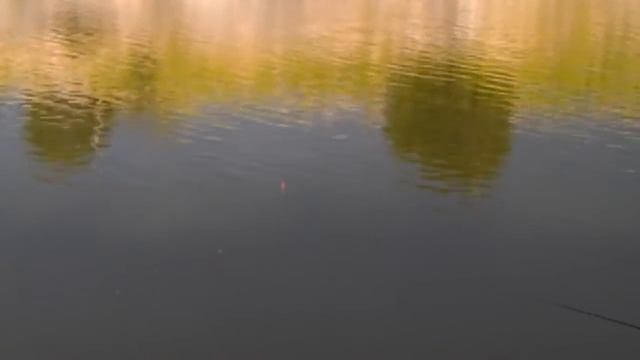 Парк Пае / Pae park 10.07.2015 a. Ловля карася. смотреть онлайн