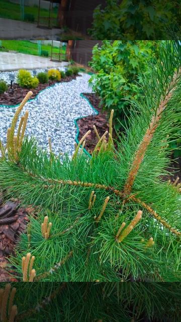 Май, природа расцвела