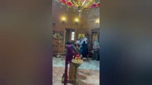 Святой Ефрем в Спасо-Влахернском монастыре Деденево.
