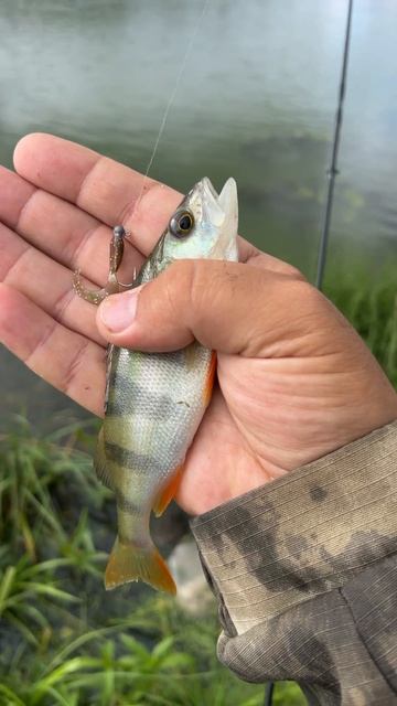 Джиг головка для микроджига, первый раз за несколько лет. Пишите ваше мнение что лучше. смотреть онлайн