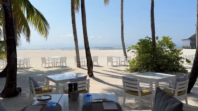 Идеальное место для отпуска на Мальдивах: Finolhu Maldives 5* #?
