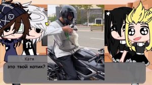 Реакция зайчика на хобби Антона ( без Бяши) приятного п