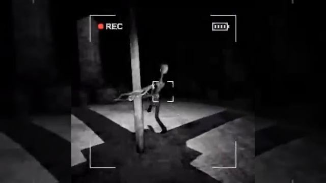 Запись камеры content warning вовремя стрима