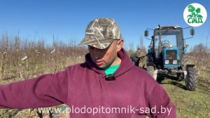 Веселые трудовые будни питомника. Хочется новенького – не боимся корчевать старенькое.