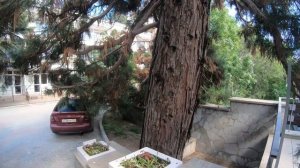 ПАНСИОНАТ НЕВА Алушта Крым честный обзор май 2024