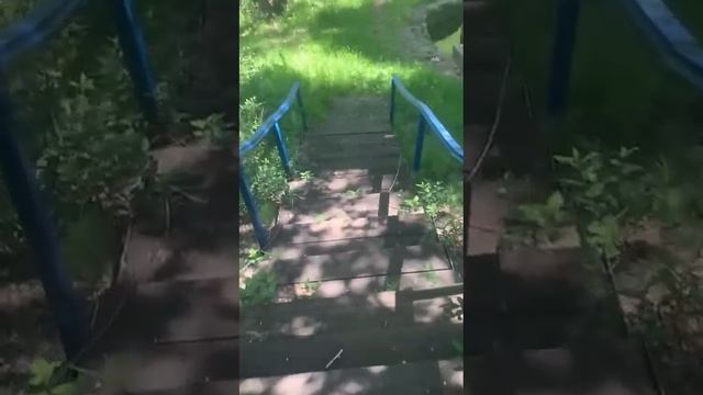 Саракташский родник