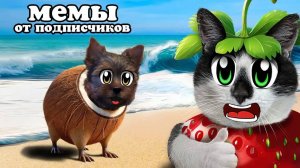 Подписчики прислали самые угарные мемы с котами и пиццей 🍕🐱🤣