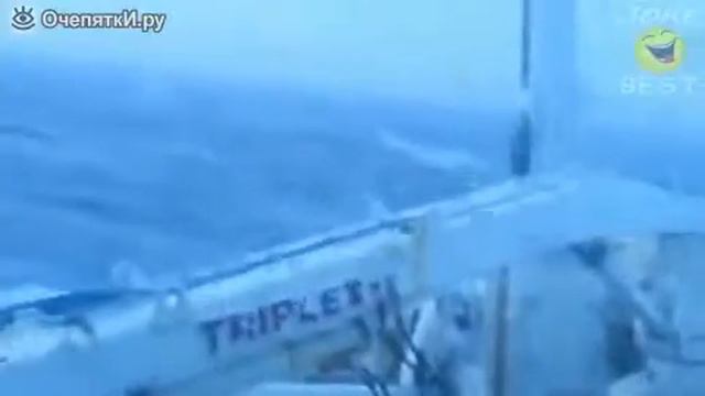 Разные курьёзы и смешные приколы