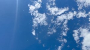 Питомник "Западный" Курские +7 909 667-53-00 Виктор