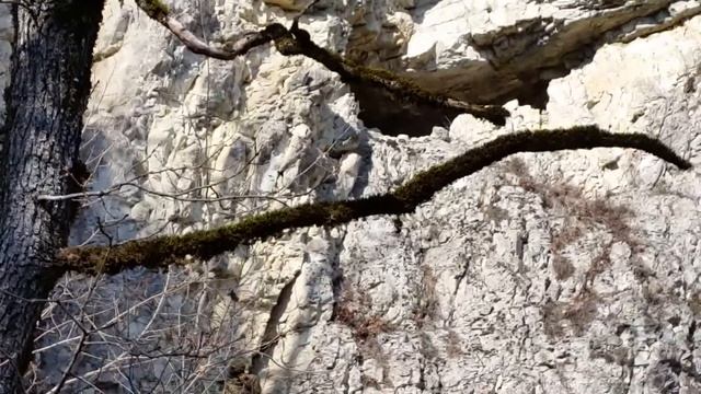 Тайны Варандинсой пещеры!(2) смотреть онлайн