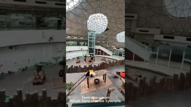Из Хуньчунь в Чанчунь. Экскурсия к пандам. Часть перва? смотреть онлайн