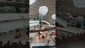 Из Хуньчунь в Чанчунь. Экскурсия к пандам. Часть перва?