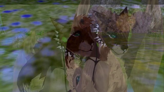 FerαlHeαrт || Roɢɢer Rαввιт