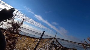 ОХОТА НА ГУСЯ В ЯНАО ВЕСНА 2024 г. Эта весна удивляет.