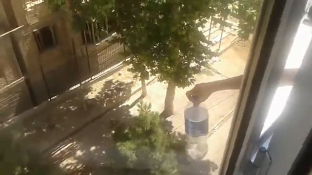 Фокус с бакалашкой смотреть онлайн