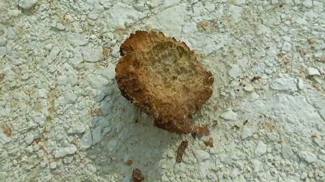 СП. Бокты / Казахстан смотреть онлайн