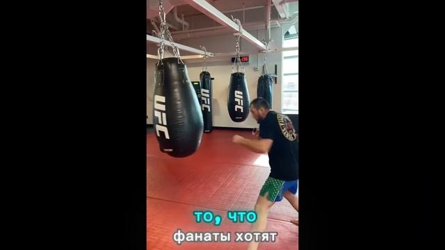 МАГОМЕД VS ПРОХАЗКА и Хилла /Муслим Салихов бросил вызо смотреть онлайн
