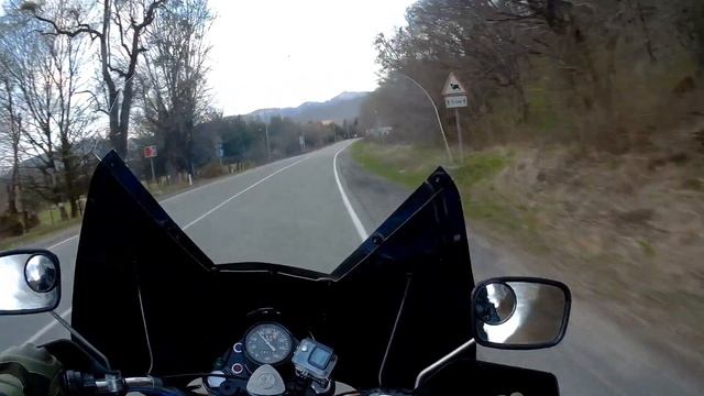 Кардон Гузерипль спасли кота