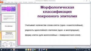 Общая гистология. Учение о тканях. Эпителиальные ткани.