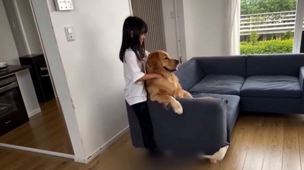 BRAIN TIME.  Animals Acting Like a Boss Caught on Camera