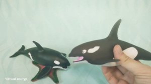 Повелители океанов 🫧