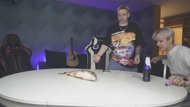 за фто карасика(shadowkek, vataris, follentass)