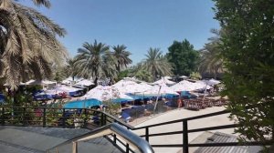 Семейный отель The Westin Dubai Mina Seyahi 5* тур в Вестин Дубай Ми?