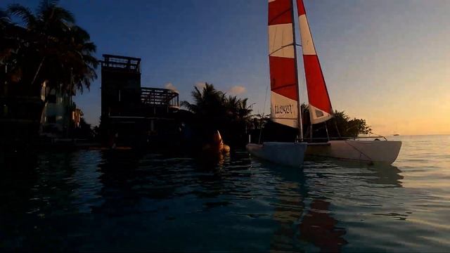 Доступные Мальдивы | Цены, жилье, пляжи, акулы смотреть онлайн